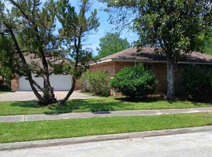 Kene O.'s yard maintenance service result
