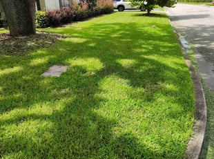 Pam D.'s lawn maintenance service result