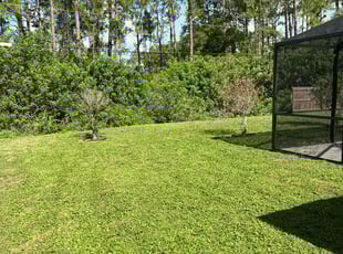 William G.'s turf maintenance service result
