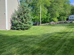 Courtney R.'s lawn maintenance service result