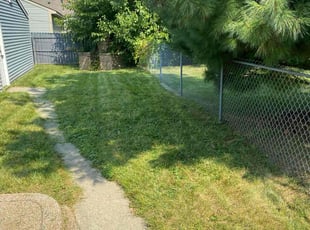Susan A.'s lawn care service result