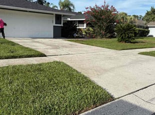 Elena Q.'s lawn care services service result