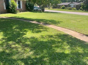 Elizabeth B.'s yard care service result