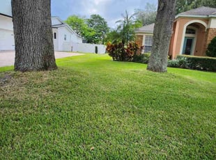 Tamara D.'s lawn service service result