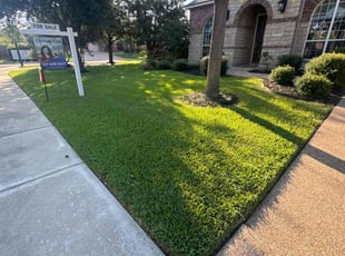 Kevin I.'s lawn service service result