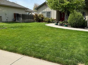 Reece M.'s lawn maintenance service result