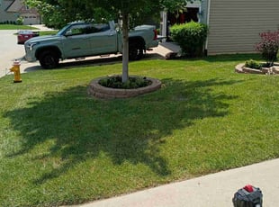 Jennifer A.'s lawn care services service result