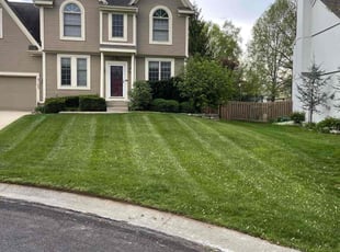 Daniel S.'s lawn service service result