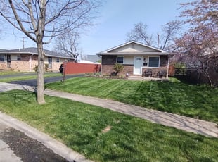 Andrew R.'s lawn care service result