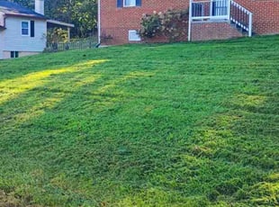Eric H.'s lawn maintenance service result