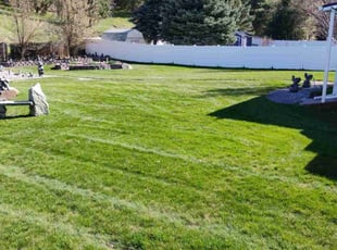 Erin D.'s turf care service result