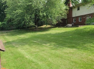 Sean R.'s turf maintenance service result