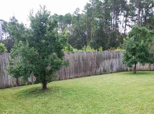 Christine H.'s lawn care service result