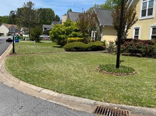 Maryam A.'s grass maintenance service result