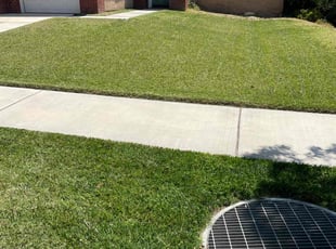 Roxanne B.'s grass cutting service result