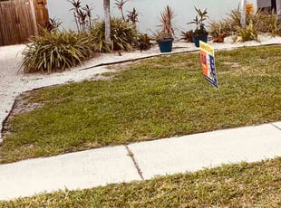 Steve B.'s lawn care service result