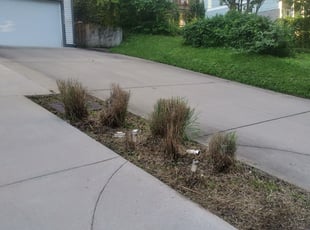 Edward S.'s Bush Trimming service result