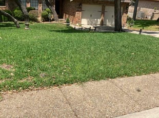 Jimmy T.'s grass cutting service result