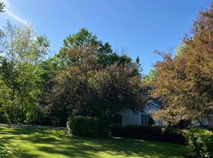 Karl S.'s lawn care services service result