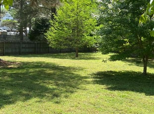 Sean E.'s lawn maintenance service result