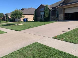 Matthew B.'s grass maintenance service result