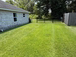 Mark P.'s turf care service result