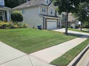 Cecily H.'s turf care service result