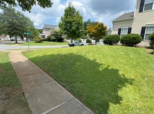 Michelle P.'s lawn maintenance service result
