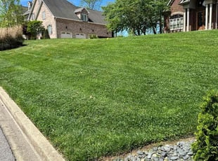 James M.'s lawn care services service result