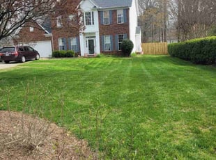 Stacy S.'s lawn care service result