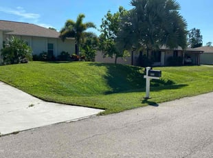Joseph H.'s lawn care service result