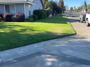 Bre F.'s grass cutting service result
