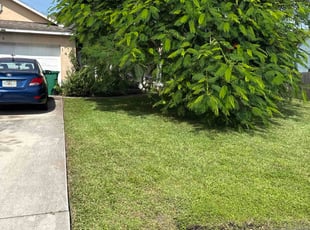 Heather L.'s grass maintenance service result