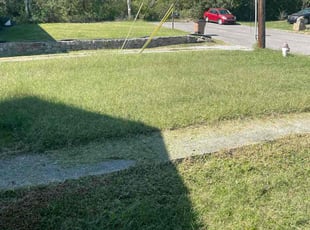 Donald R.'s turf maintenance service result