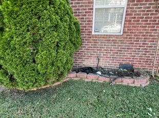 Dorothy R.'s Flower Bed Weeding service result