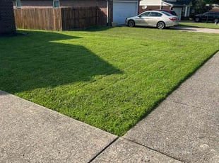 Mia B.'s turf maintenance service result