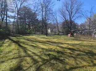 Andrew R.'s grass maintenance service result