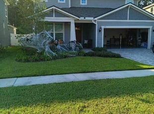Selena W.'s grass maintenance service result