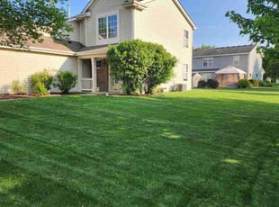 Shaylee J.'s lawn care service result