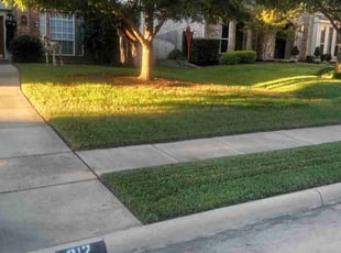 Curtis C.'s lawn care services service result