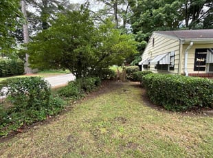 Xaviera M.'s Bush Trimming service result