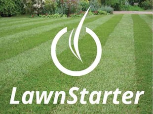 Lyman M.'s yard work service result