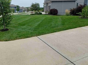 Leroy L.'s turf maintenance service result