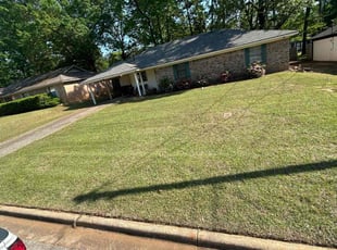 Miguel M.'s lawn maintenance service result