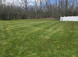 steve w.'s grass cutting service result