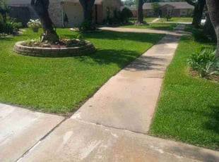 Blaine H.'s turf care service result