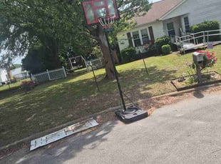 Mike P.'s lawn care services service result