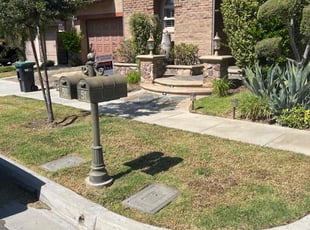 Eric R.'s lawn care service result