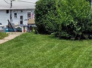Keith T.'s Bush Trimming service result