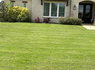 Iris P.'s lawn service service result